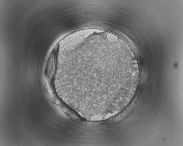 X0000116490812201001201402