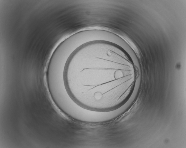 X0000116490813201001201402