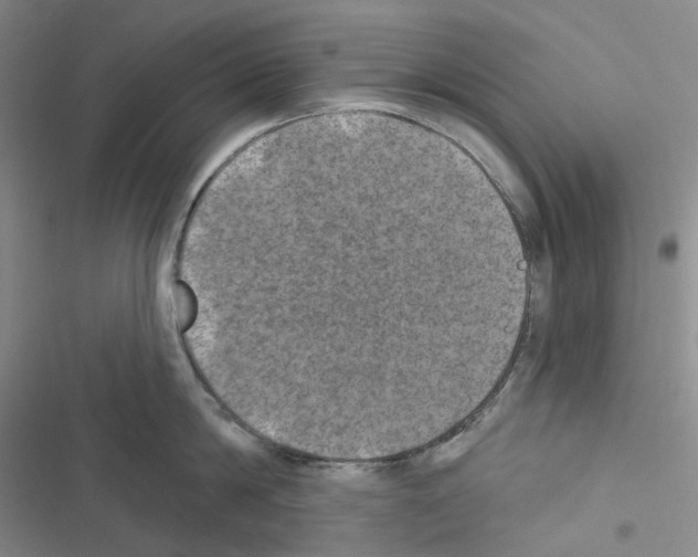 X0000116490814201001201402