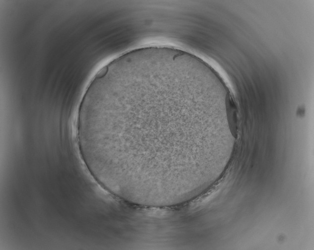 X0000116490815201001201402