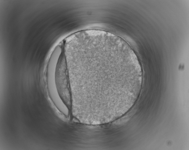 X0000116490816201001201402