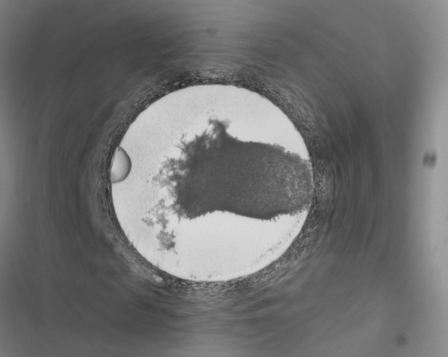 X0000116490817201001201401