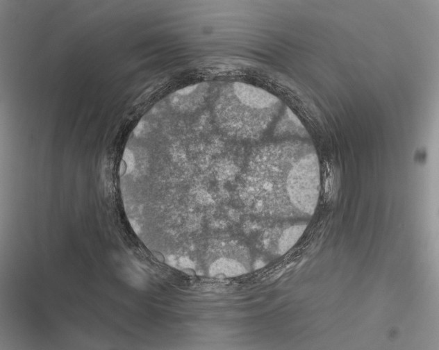 X0000116490819201001201401