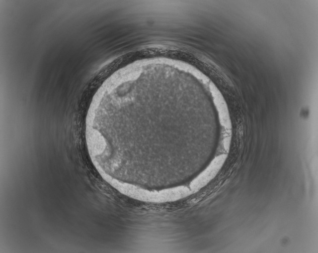 X0000116490822201001201401