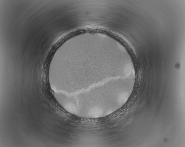 X0000116490823201001201401