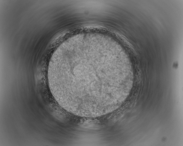 X0000116490824201001201401