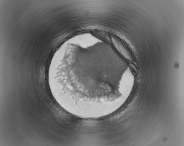 X0000116490825201001201401