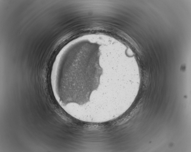 X0000116490826201001201401