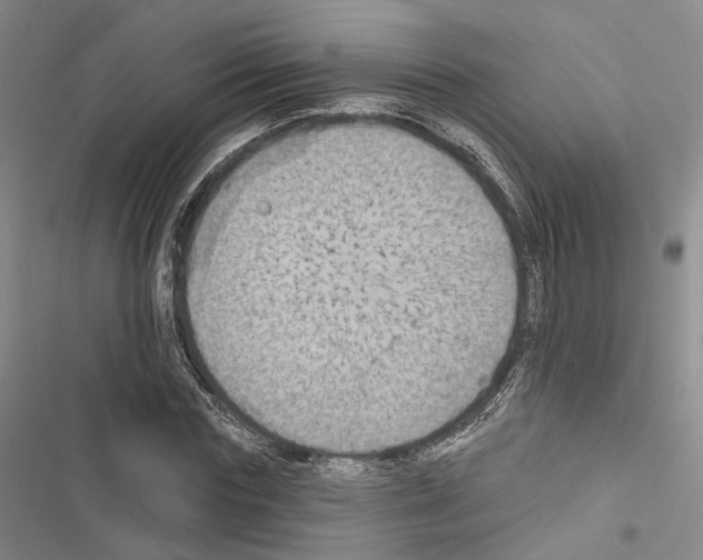 X0000116490827201001201401