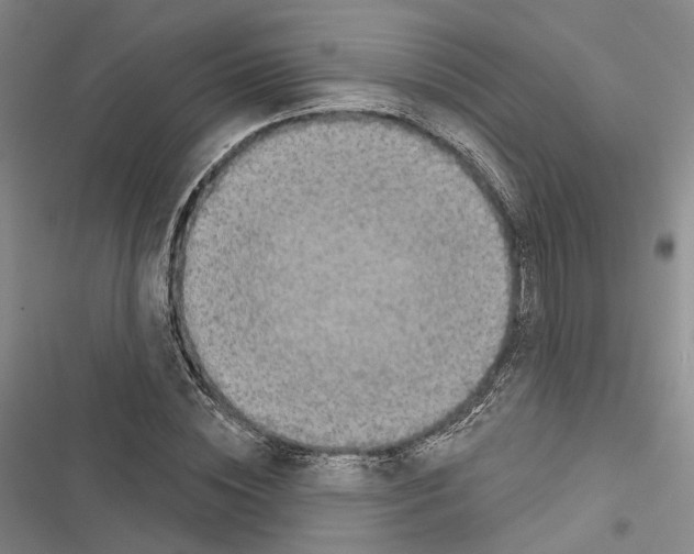 X0000116490828201001201401