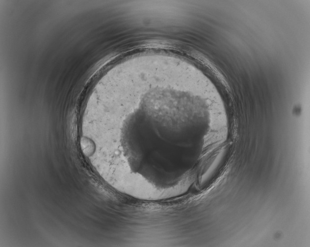 X0000116490829201001201401