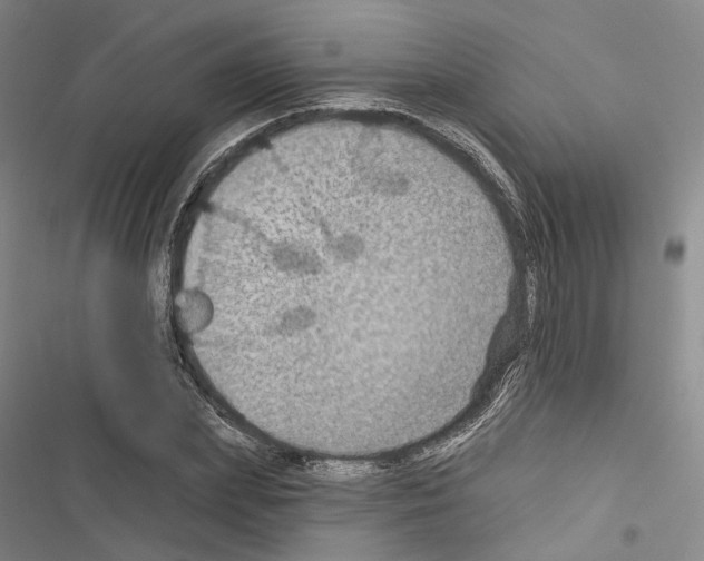 X0000116490831201001201401