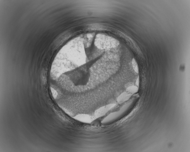 X0000116490833201001201401