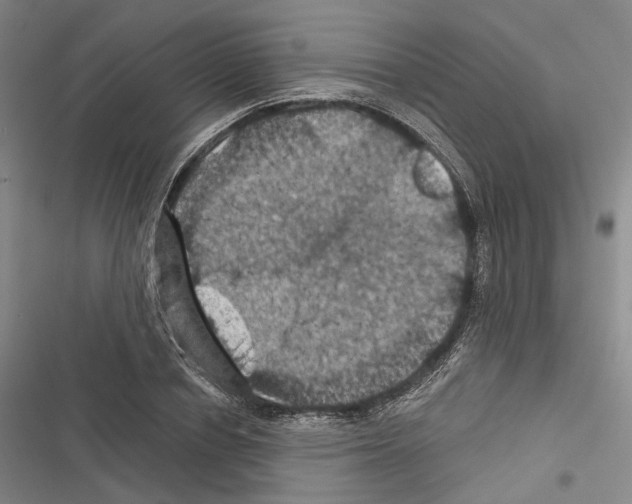 X0000116490834201001201401