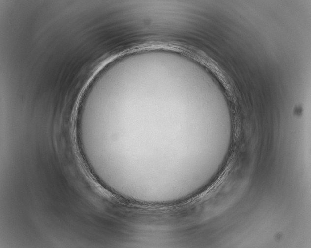 X0000116490836201001201401