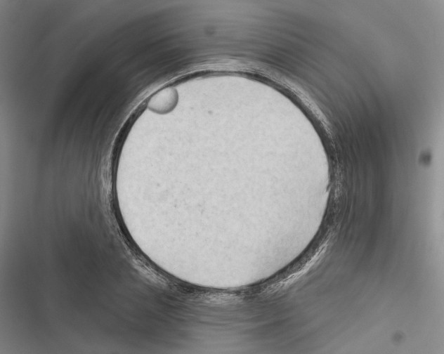 X0000116490837201001201401