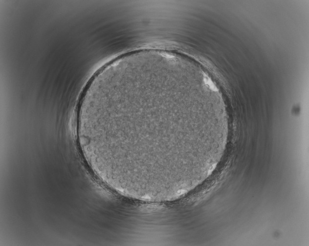 X0000116490838201001201401