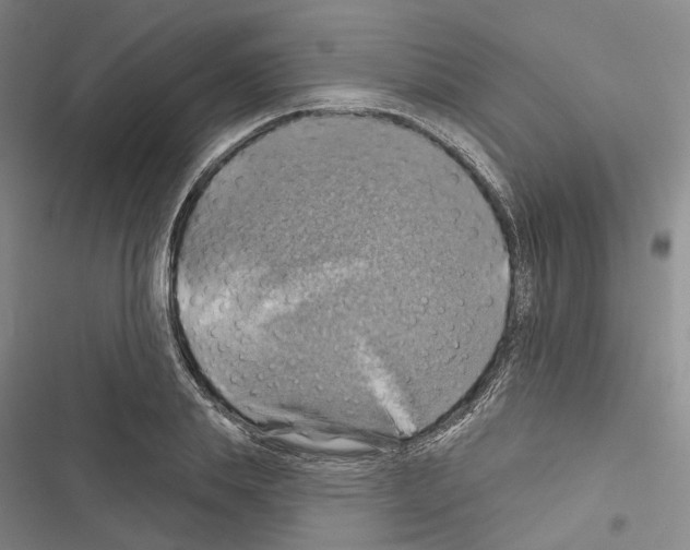 X0000116490839201001201401