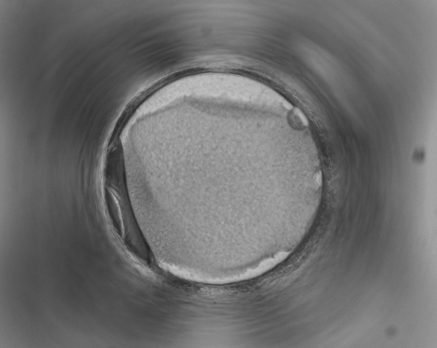 X0000116490840201001201401