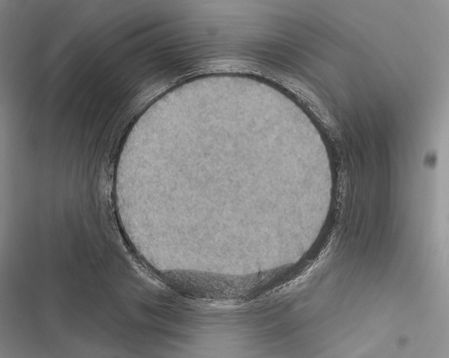 X0000116490841201001201401