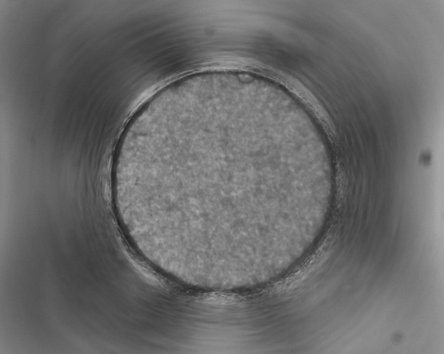 X0000116490842201001201401