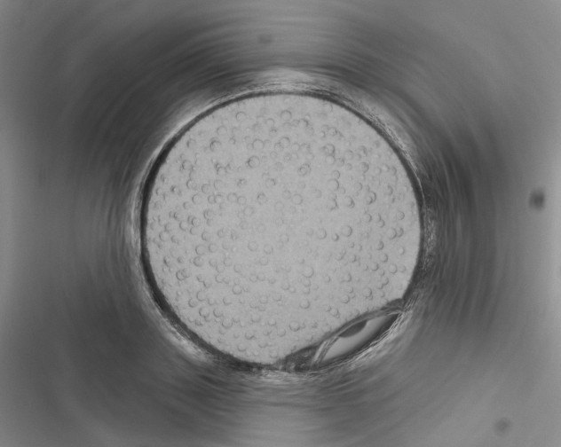 X0000116490843201001201401