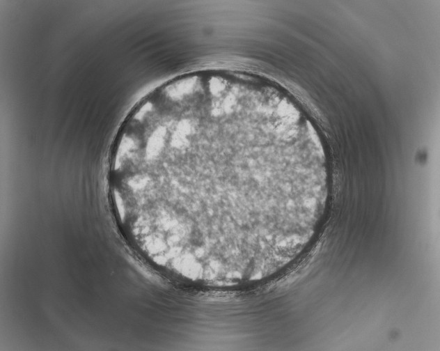 X0000116490846201001201401