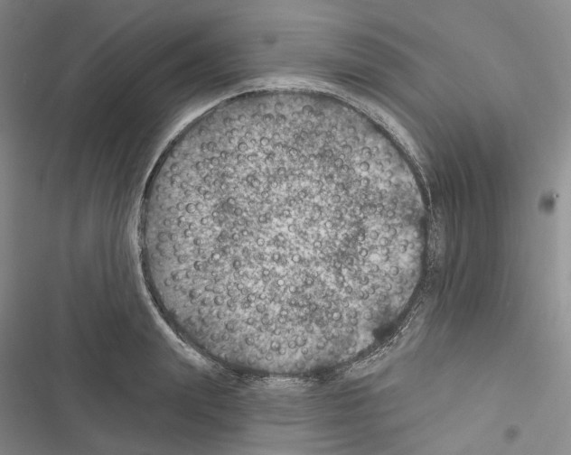 X0000116490847201001201401