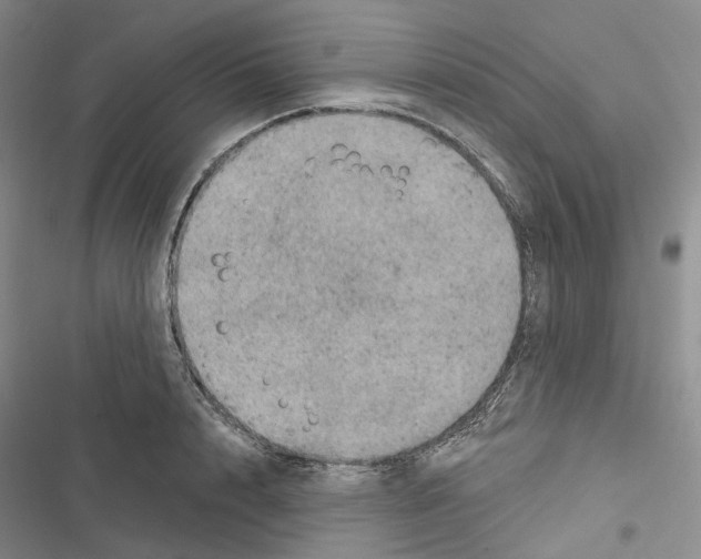 X0000116490848201001201401