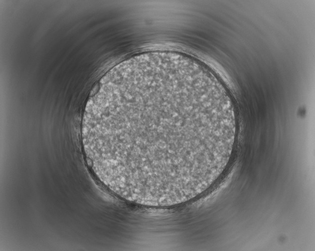 X0000116490849201001201402