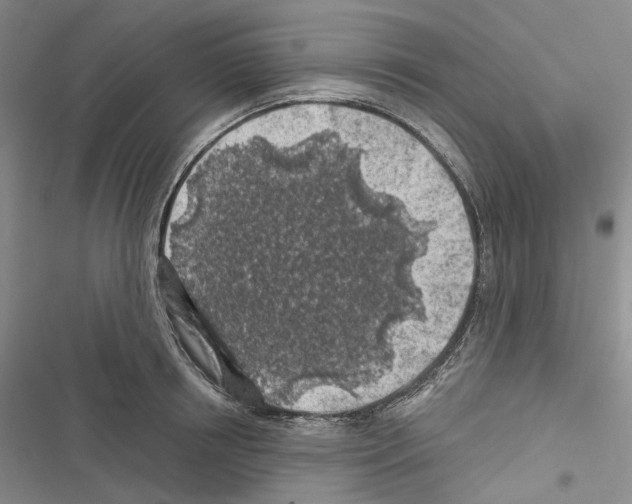 X0000116490850201001201402