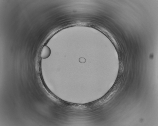 X0000116490851201001201402