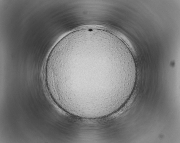 X0000116490852201001201402