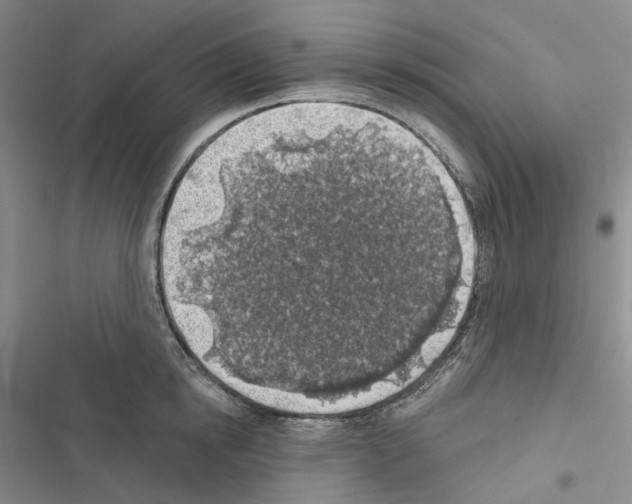 X0000116490854201001201402