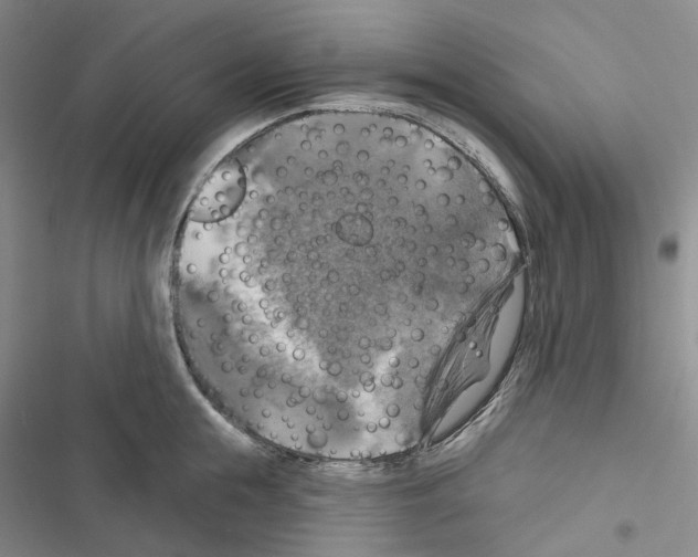 X0000116490855201001201402