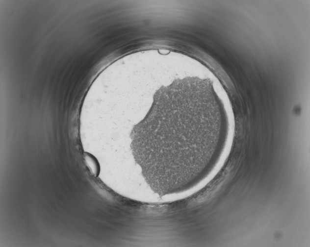 X0000116490858201001201402