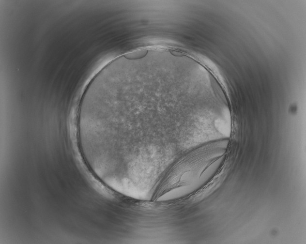 X0000116490859201001201402