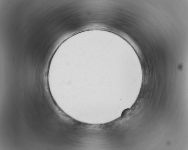 X0000116490861201001201402