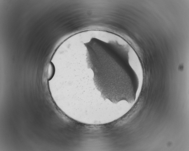 X0000116490862201001201402