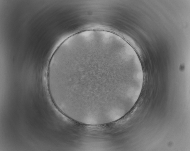 X0000116490863201001201402