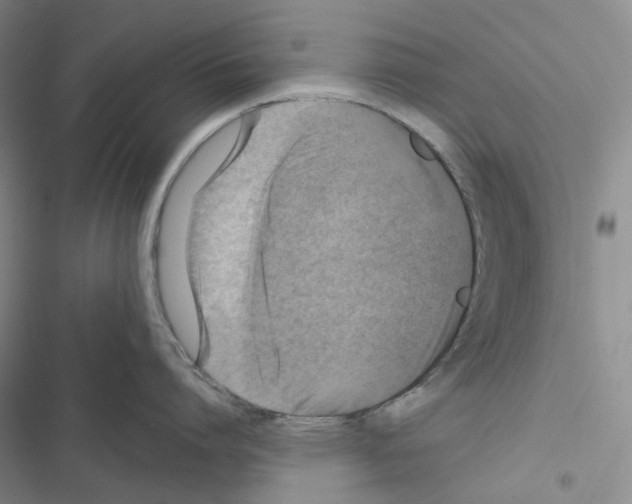 X0000116490864201001201402