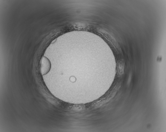 X0000116490865201001201401