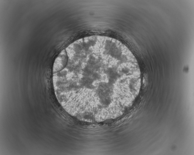 X0000116490867201001201401