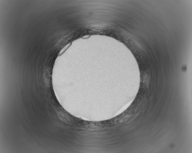 X0000116490868201001201401