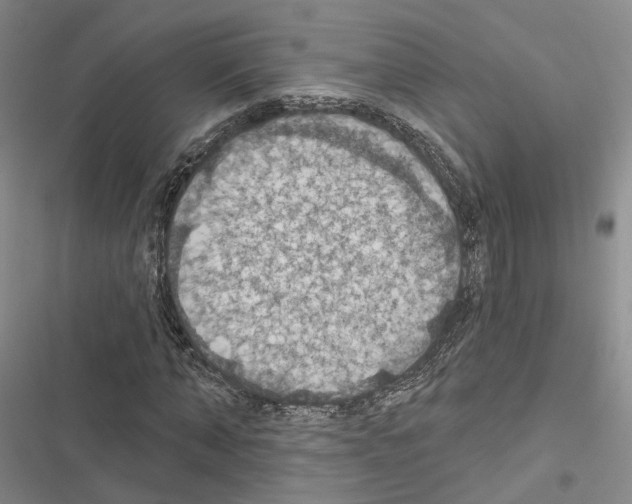 X0000116490870201001201401