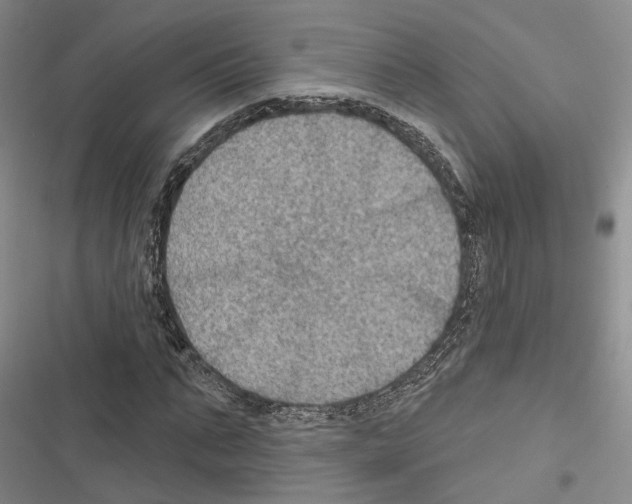 X0000116490871201001201401