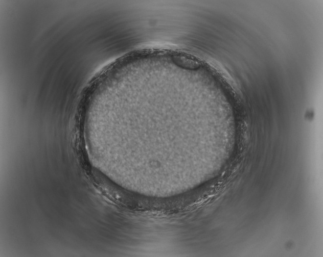 X0000116490872201001201401