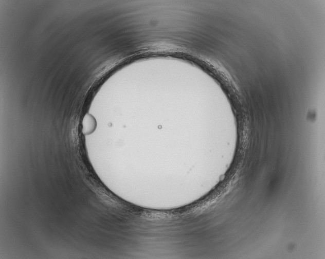 X0000116490873201001201401