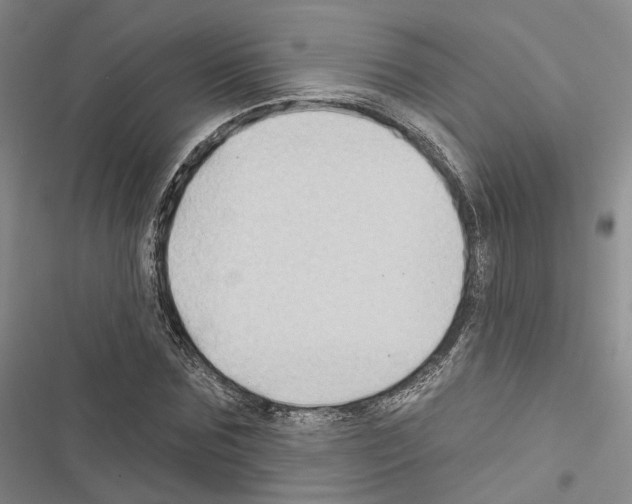 X0000116490875201001201401