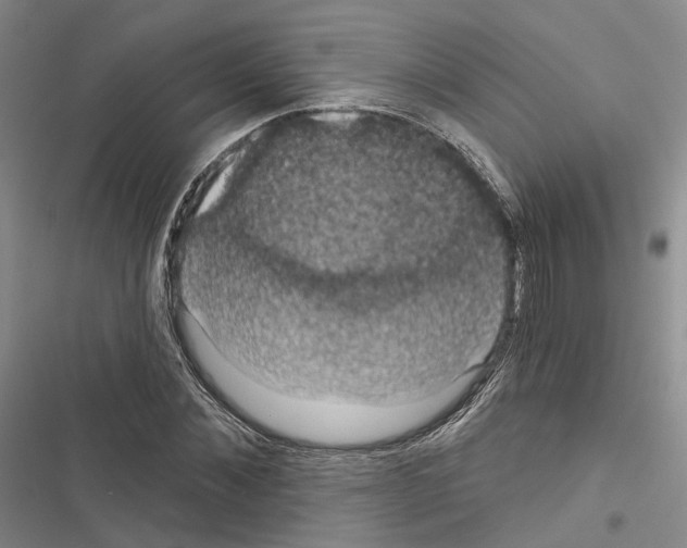 X0000116490876201001201401